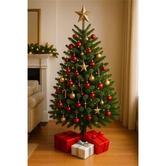 Clifton Premier Norway Spruce Christmas Tree - Fresh Cut - 1.5m - 1.75m (5 - 6ft) in Green