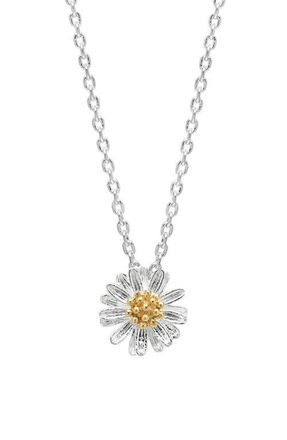 Estella Bartlett Wildflower Necklace in Silver at Nordstrom