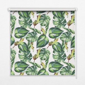 Tulup Tenda A Rullo Interna Per Finestra - Tenda Filtrante Luce - Tenda Privacy - Tenda Decorativa Rettangolare - Rullo Per Interni - (100 Cm X 100 Cm) - Pi