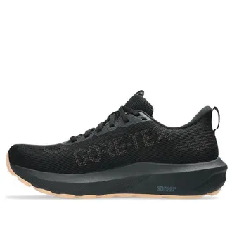 Asics (WMNS) ASICS GT-1000 14 Gore Tex Black Misty Pine 1012B857-002