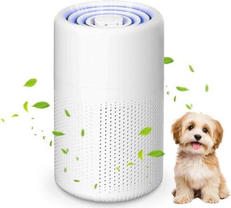 OEM Purificador De Aire Para Dormitorio, Purificador Hepa H13 Que Elimina El Polvo, El Humo Y Los Olores De Mascotas, Purificador De Aire Con Esponja Perf