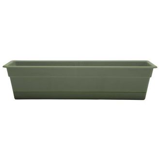 Bloem 24 Dura Cotta Window Box Planter, Living Green at Nordstrom