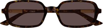Chlo&eacute; Sunglasses Ch0363 S 002 Brown/Brown Woman