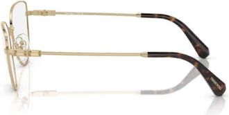 Swarovski 1007 Vista4013