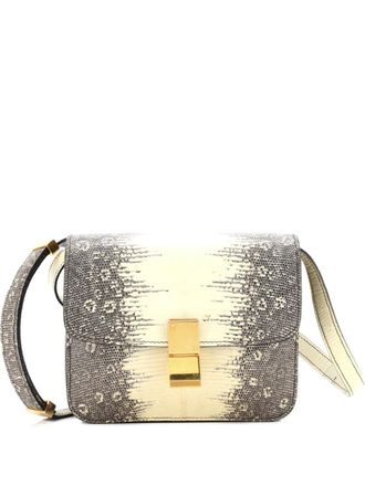 Celine Classic Box Bag Lizard Teen shoulder bag - Veelkleurig