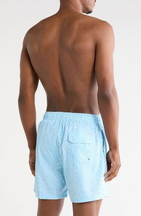 Vintage Summer Swimwear Shell Print 4 Way Stretch Volley Swim Trunks in Blue at Nordstrom Rack, Size Xx-Large