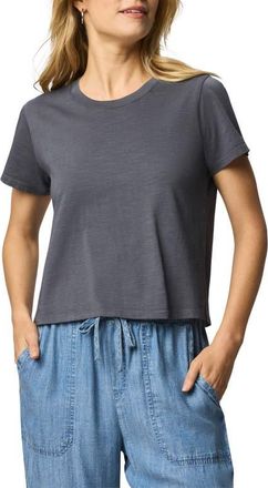 Splendid Louisa Short Sleeve T-Shirt in Ink Blue at Nordstrom, Size Large