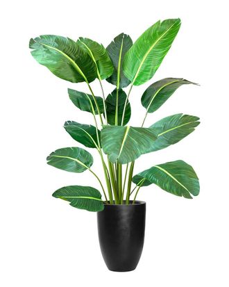 Creative Displays Inc. 6Ft Uv-Rated Travelers Palm Tree With Fiberstone Planter