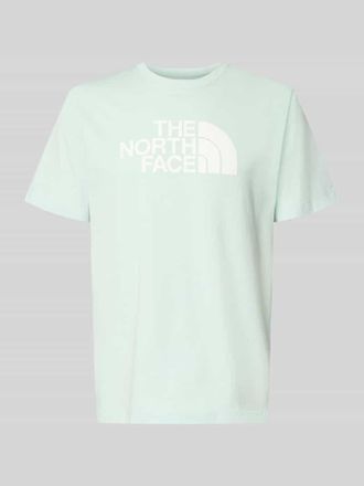 The North Face Regular Fit T-Shirt mit Logo-Print Modell Evolution in Mint, Gr&ouml;&szlig;e XXL