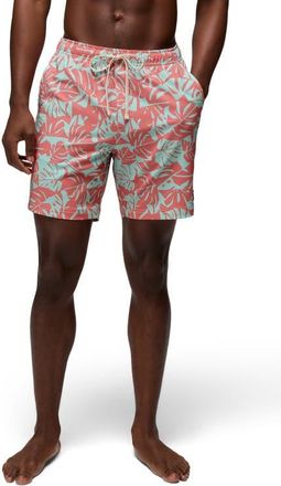 Prana La Jolla Board Shorts in Sea Glass Monstera at Nordstrom, Size Medium