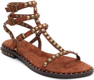 Ash Play 2 Gladiator Sandal in Tajine at Nordstrom, Size 10Us