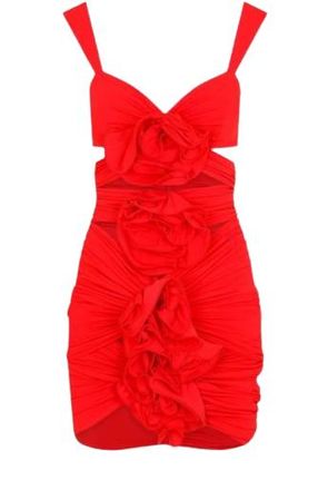 Magda Butrym Red Floral Applique Mini Dress Size XXS