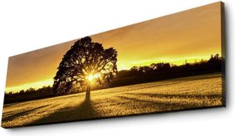 Jelmoli-Shop Wandbild »Wallxpert Tree« Baum