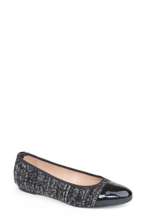 Patricia Green Adele Cap Toe Wedge Pump in Navy Tweed/Black Patent at Nordstrom, Size 10