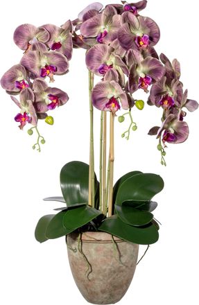 Creativ Green Kunstorchidee