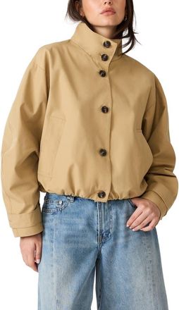 Steve Madden Fayden Stand Collar Jacket in Medium Khaki at Nordstrom, Size X-Small