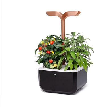 V&eacute;ritable Exky Smart Indoor Garden
