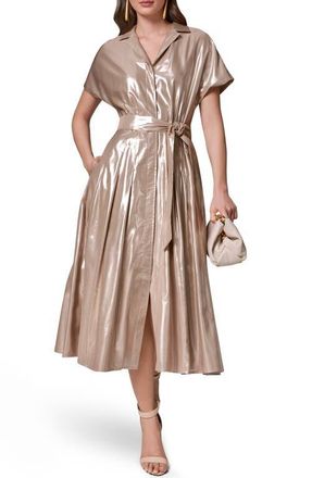 DKNY Metallic Belted Shirtdress in Snow Petal/Silver at Nordstrom, Size 10