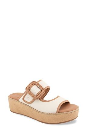 Gentle Souls Vadylin Platform Wedge Slide Sandal in Stone Leather at Nordstrom, Size 5.5