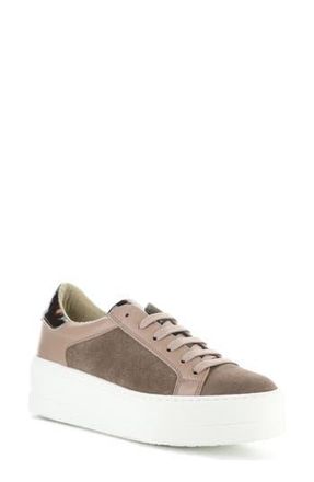 Bos. & Co. Maude Platform Sneaker in Taupe/Almondine at Nordstrom Rack, Size 10-10.5Us / 41Eu