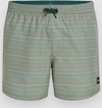 O'Neill Jack Cali First 15 Boardshorts groen
