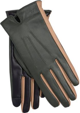 Echo Colorblock Leather Glove in Forest Green at Nordstrom, Size Medium