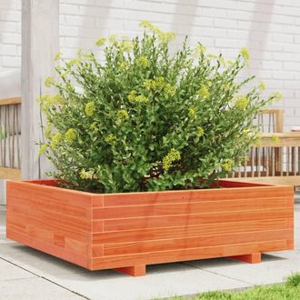 vidaXL Vidaxl - Jardinera De Madera Maciza De Pino Marr&oacute;n Cera 80x80x26,5 Cm