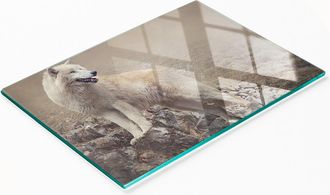 OEM Elegante Y Resistente Tabla De Vidrio Con Estampado De Roca De Lobo Blanco, 80x52 Cm