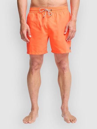 Billabong All Day Lb Boardshorts roze