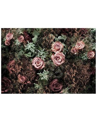 Komar Velvet Wall Mural