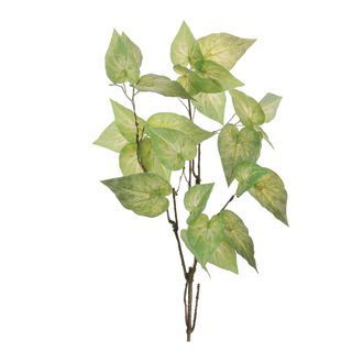 Melrose International Anthurium Leaf Branch (Set of 4) - Green