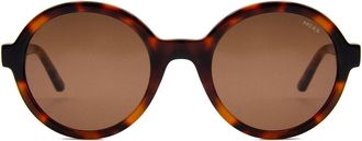 Mexx 6597 100 Mens Sunglasses Tortoiseshell Size 51