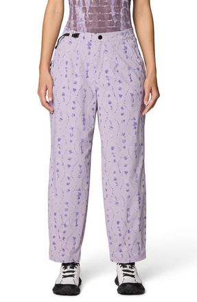 Mountain Hardwear Peak Rambler Pants in Atmospheric Cascade Print at Nordstrom, Size 10