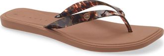 Reef Solaye Waterproof Flip Flop in Tortoise at Nordstrom, Size 6