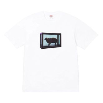 SUPREME x Damien Hirst T-Shirt White SS25T5-WHITE