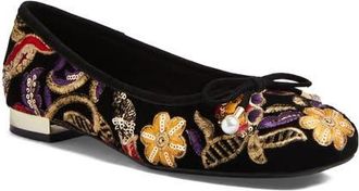 Django & Juliette Foyar Embroidered Ballet Flat in Black Embroidery Velvet at Nordstrom, Size 41