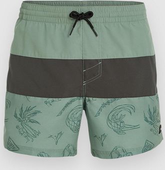 O'Neill Mix & Match Cali Block 15 Boardshorts groen