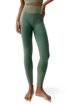Born Living Yoga Buddha Seamless High Rise Sport Legging in Deep Green/grain at Nordstrom, Size Medium Eu