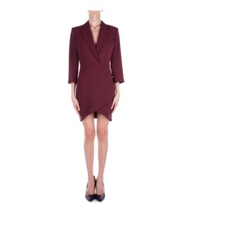 Elisabetta Franchi Short Dresses, female, Red, S, Bordeaux Dress with Zipper Closure
