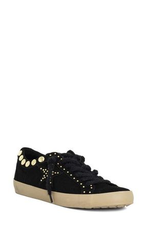 Shushop Pandora Studded Low Top Sneaker in Black Suede at Nordstrom, Size 8.5