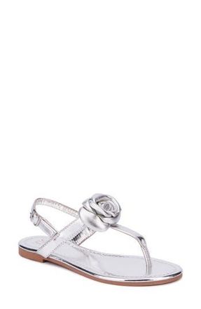 New York & Company Rosette Thong Sandal in Silver at Nordstrom Rack, Size 8
