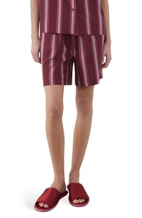 Mango Stripe Pajama Shorts in Fuchsia at Nordstrom, Size Medium