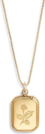 Set & Stones Audrey Birth Flower Pendant Necklace in Gold /December - Holly Berry at Nordstrom
