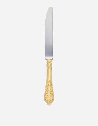 Dolce & Gabbana Coltello Pasto - Individual Cutlery Multicolor Onesize