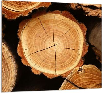 OEM Panel De Vidrio Para Cocina 65x60 Madera