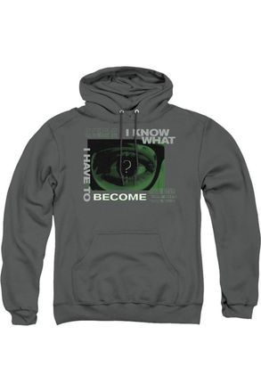 Gildan The Batman Become The Riddler Adult Pull Over Hoodie / Hooded Sweatshirt