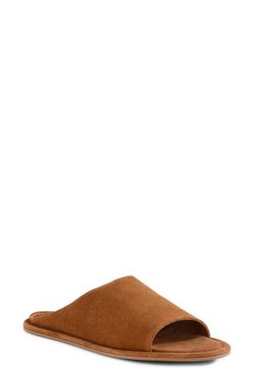 Seychelles Its A Yes Slide Sandal in Tan at Nordstrom, Size 8.5