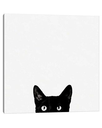 iCanvas Curiosity By Jon Bertelli Wall Art