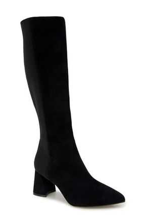 Gentle Souls Dionne Pointed Toe Knee High Boot in Black Suede at Nordstrom, Size 5