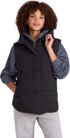 Animal Oslo Padded Vest in Jet Black at Nordstrom, Size 14